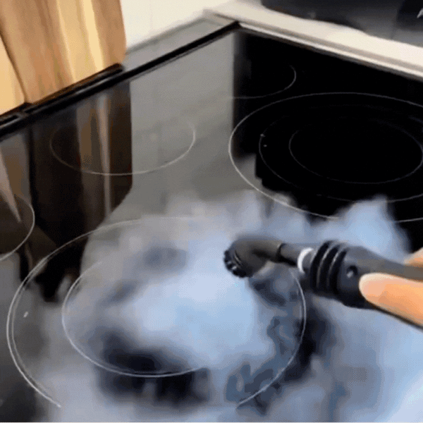 Vaporizador Limpieza Total