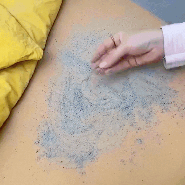 PUREAIR PRO™ – Aspiradora Portátil Antialergias
