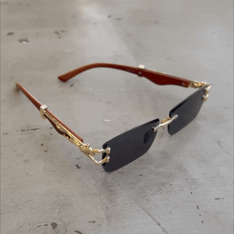 Gafas Jaguar Elegantes