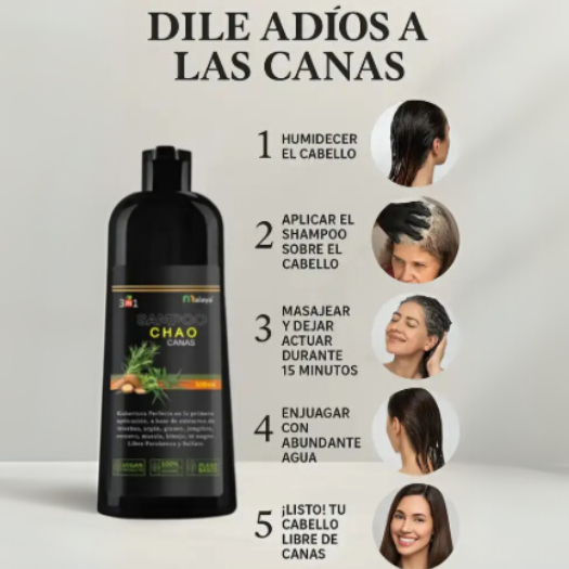 SHAMPOO CHAO CANAS 3 EN 1 – RECUPERA TU COLOR Y JUVENTUD ✨