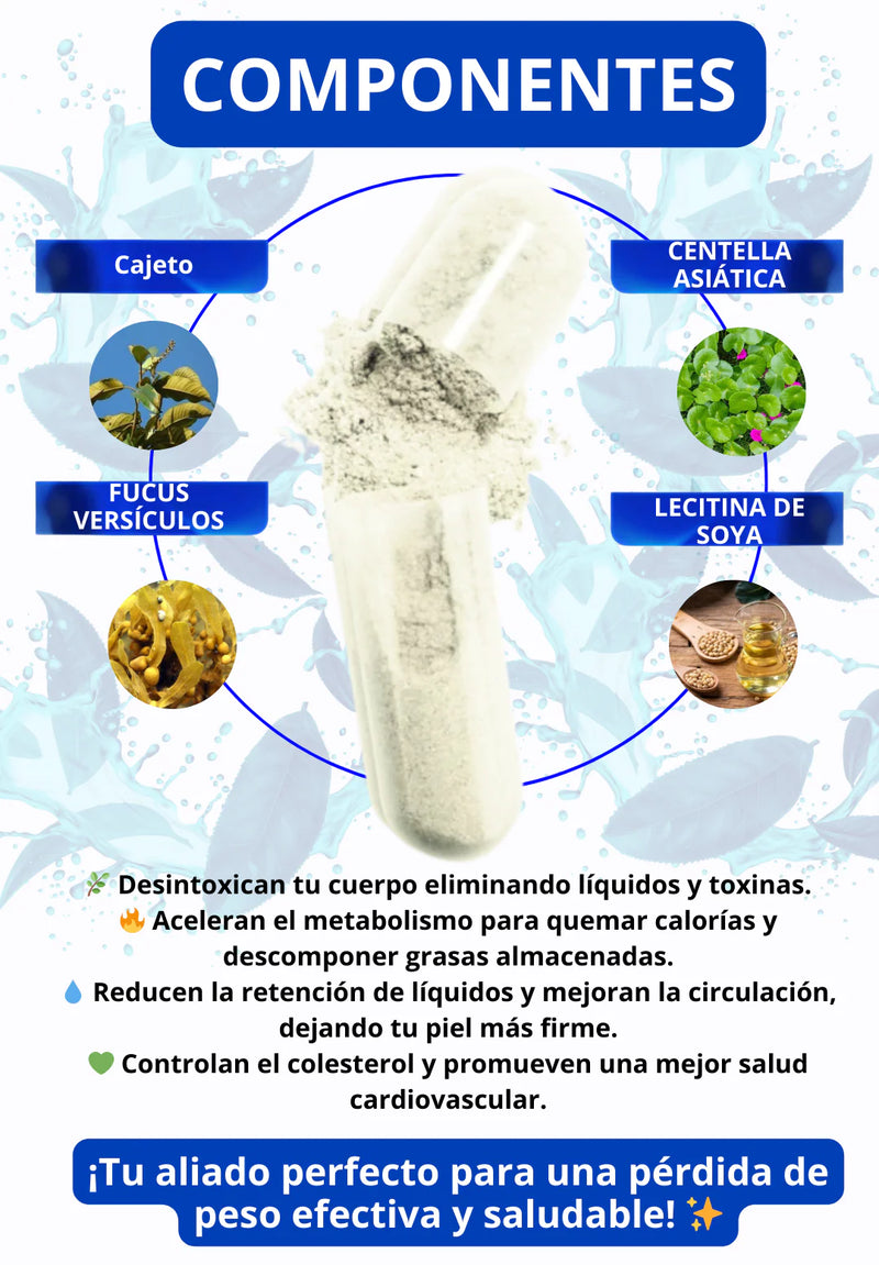 LIPO REDUCTOR - DESCUBRE TU MEJOR VERSIÓN CADA DÍA
